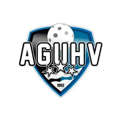 Aargauischer Unihockeyverband